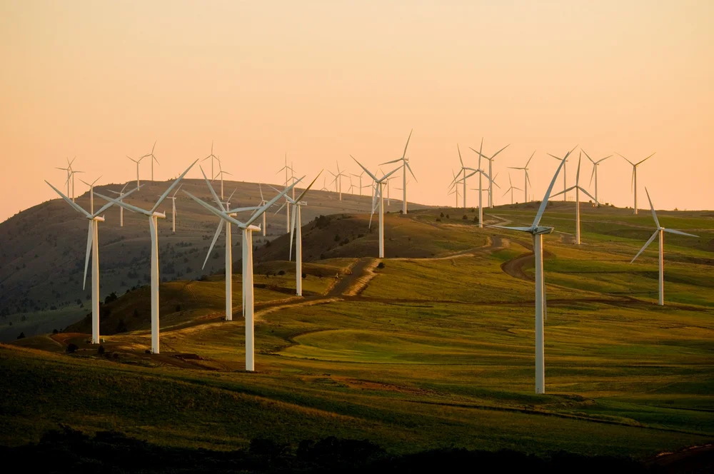 Sustainability & Energy